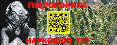 шишки Рязань