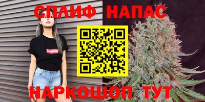 ешки Пугачёв